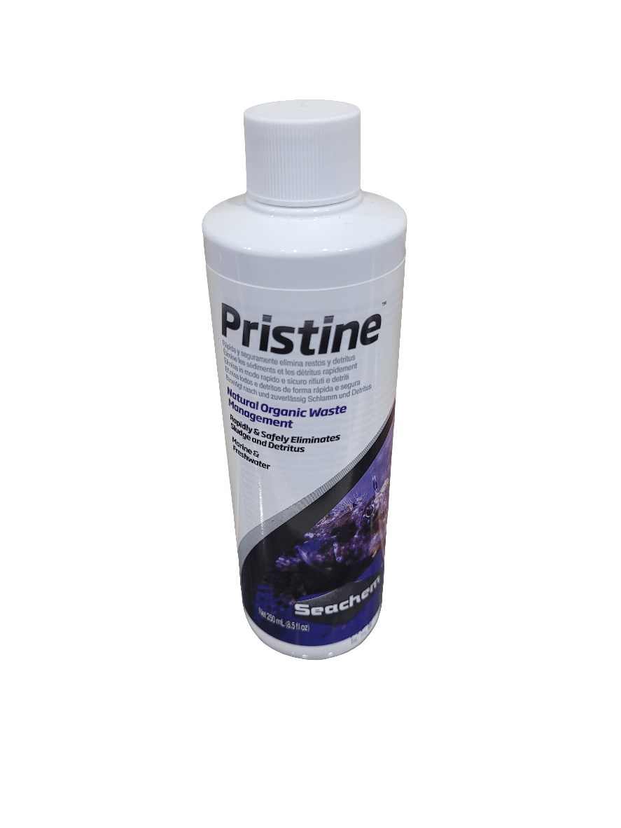 A 250ml bottle of Seachem Pristine, a natural organic waste management solution for aquariums, features purple graphics on its label and is topped with a white cap.