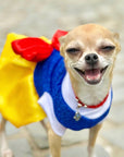 Snow White Pets Costume