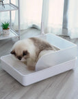 Spacious 20-Inch Open Cat Litter Box