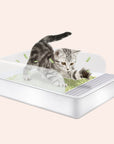 Spacious 20-Inch Open Cat Litter Box