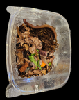 A Texas Giant Gold Millipede (Orthoporus ornatus) in a clear plastic container filled with dirt, leaves, and small pieces of vegetable matter. The container is viewed from above, showcasing this popular millipede pet coiled along the side.