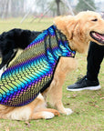 The Lumination Holographic Dog Vest