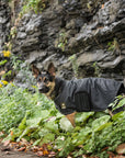 US Army Dog Blanket Jacket - Black