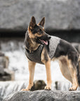 US Army Dog Cooling Vest - Grey