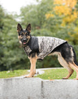 US Army Dog Jacket - Camo