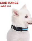 USB and Solar Charge Reflective Led Dog Collar