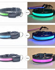 USB and Solar Charge Reflective Led Dog Collar