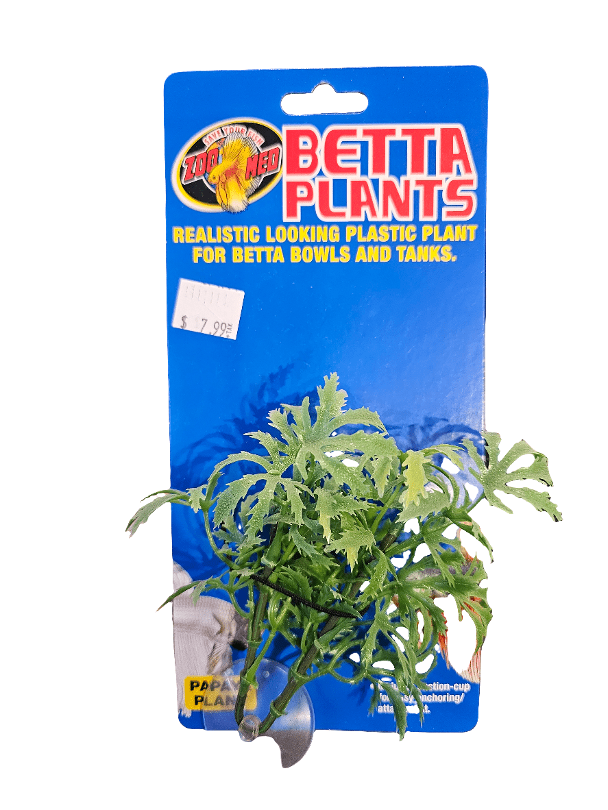 Packaging for the Zoo Med Betta Plants Papaya Plant, featuring a realistic-looking plastic plant specifically designed for betta fish bowls and tanks, is priced at $7.99.