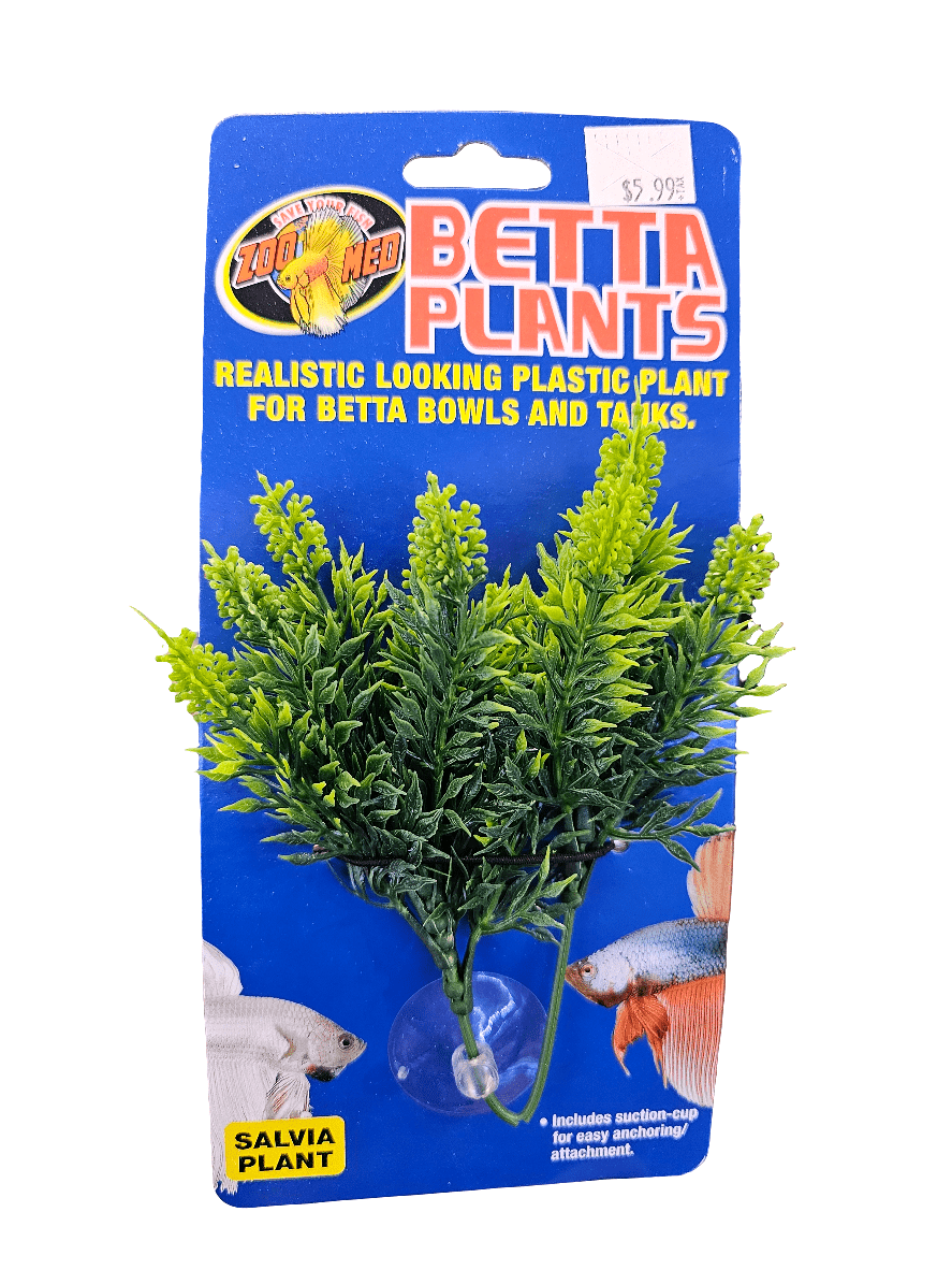 The ZooMed Betta Plants Salvia Plant comes in packaging that highlights a realistic-looking green plastic plant ideal for aquariums and betta bowls. With a suction cup included, the package also displays images of colorful betta fish and is priced attractively at $5.99.