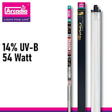 Packaging and product image of an Arcadia Lumenize Pro T5 Smart UVB Dragon Lamp, 54 Watt, 14% UVB. The packaging highlights the brand logo and features LumenIZE technology; the bulb is long and cylindrical.