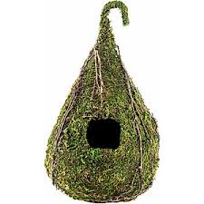 Galapagos - Vined Raindrop - Birds Nest Hide - 6&quot; x 10&quot;