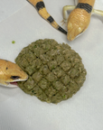 Raw, Freeze-Dried 25/25/50 Patties for Bearded Dragons and Blue Tongued Skinks