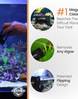 Flipper x Cichlid Bros Bundle