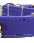 Dog, Puppy and Pet Collar, "