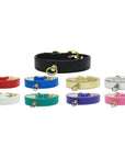 Dog, Puppy and Pet Collar, "