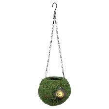 The Galapagos - Mossy Green Cave 4 is a spherical, moss-covered hanging planter featuring a decorative yellow and black circular design, suspended by metal chains.