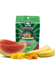 Pangea - Gecko Diet with Watermelon - 2oz