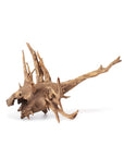 Galapagos - Hollow Tree Root LRG