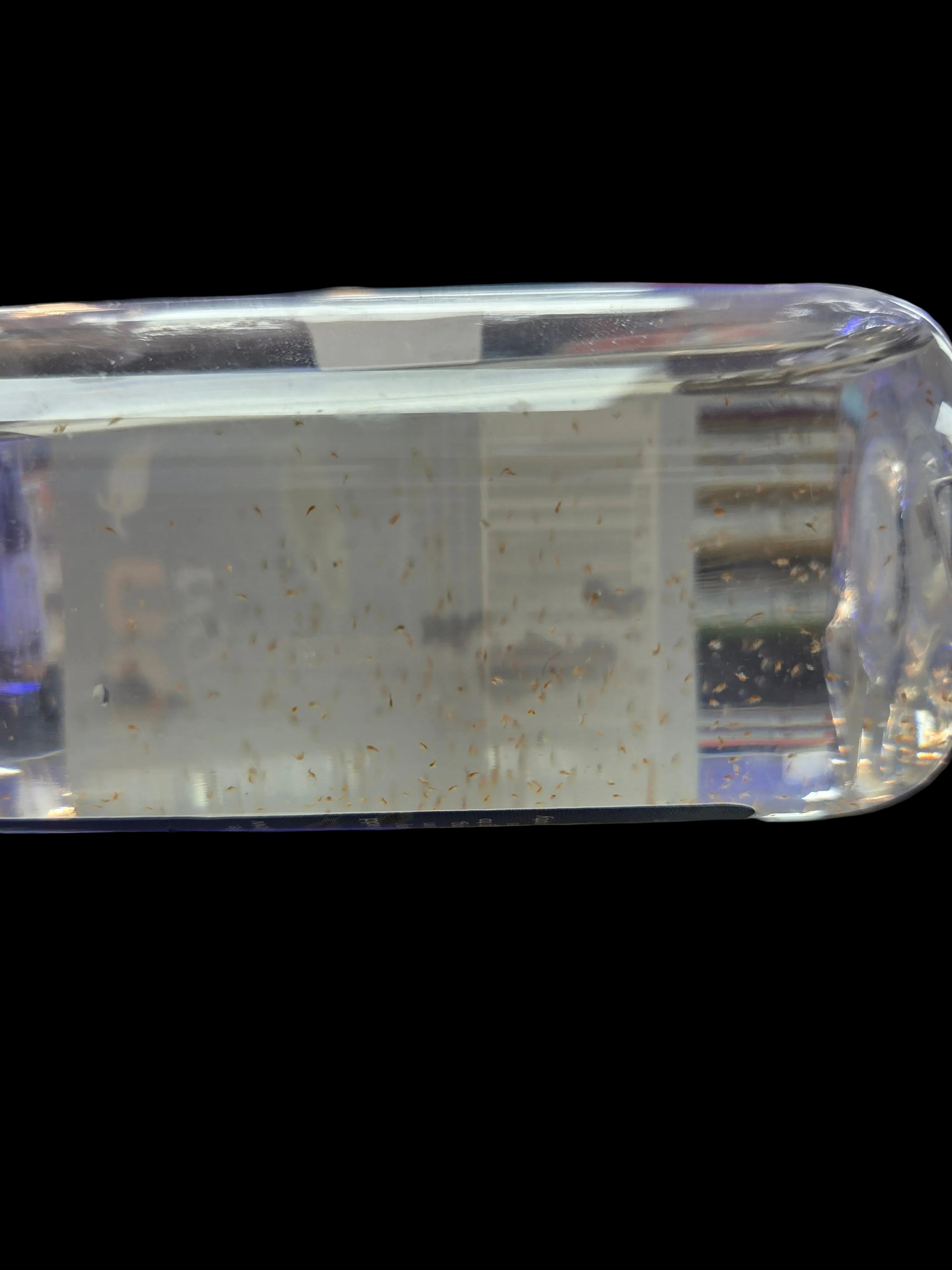 Nutramar - Tigriopus sp. Live Copepods