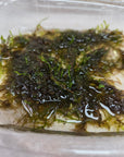 AO - Live Christmas Moss Culture