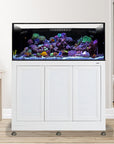 Innovative Marine- EXT 150 Lagoon Aquarium w/ APS Stand (Made to Order)