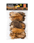 Galapagos - Magnolia Leaves - 4 qt