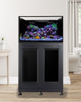 Innovative Marine- EXT 112 Lagoon Aquarium w/ APS Stand - Black (Made to Order)