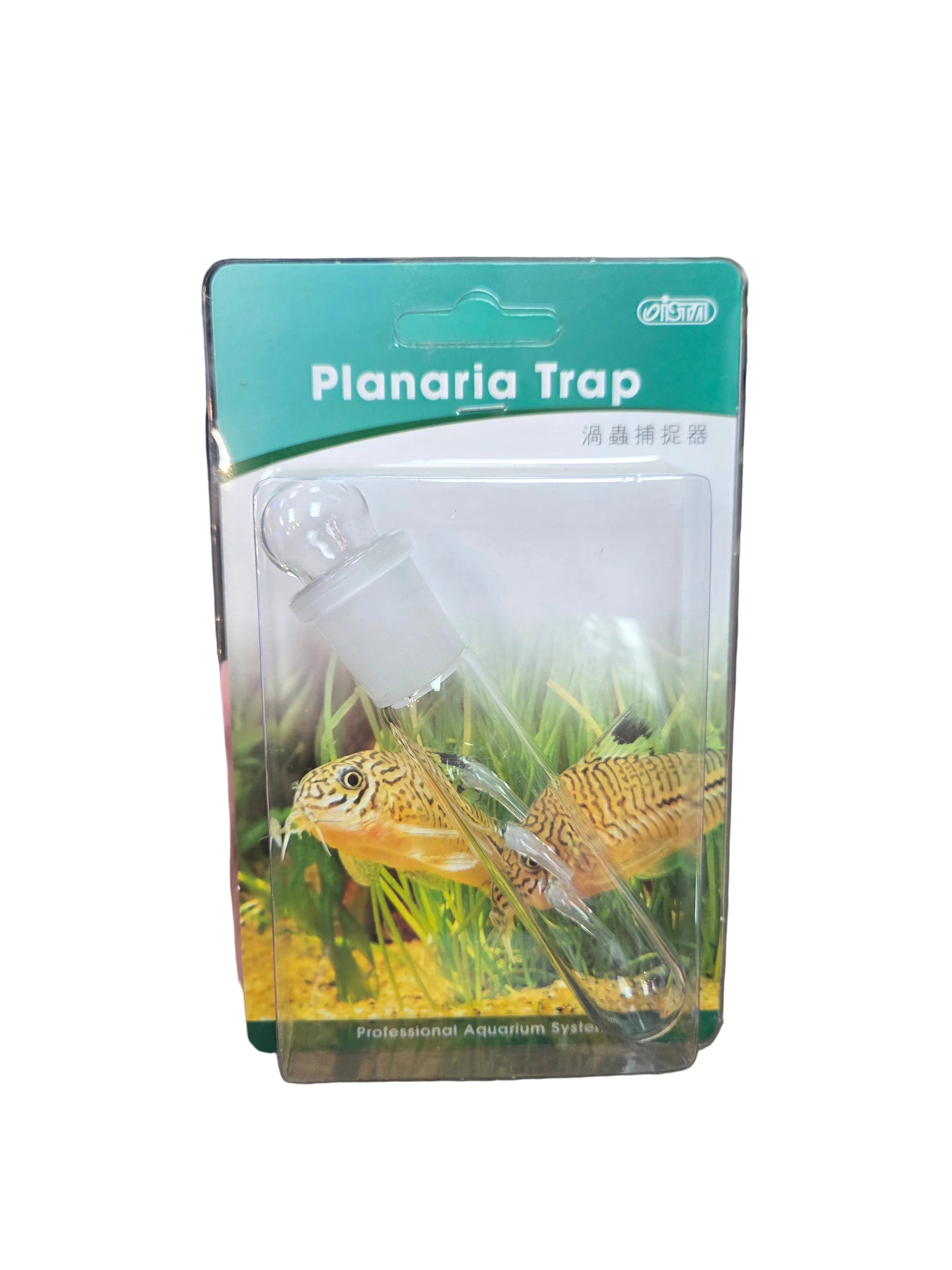 Planaria Trap