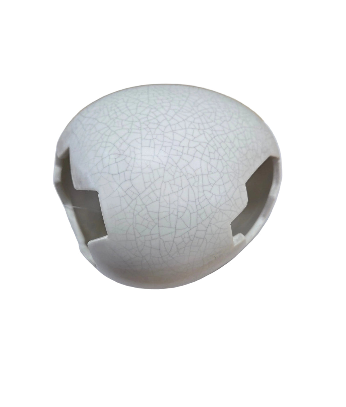 Galapagos - Egg Hide