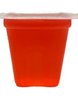 Komodo - Jelly Pot Food Cup - Large 1.3 oz