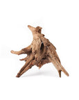 Galapagos - Hollow Tree Root LRG
