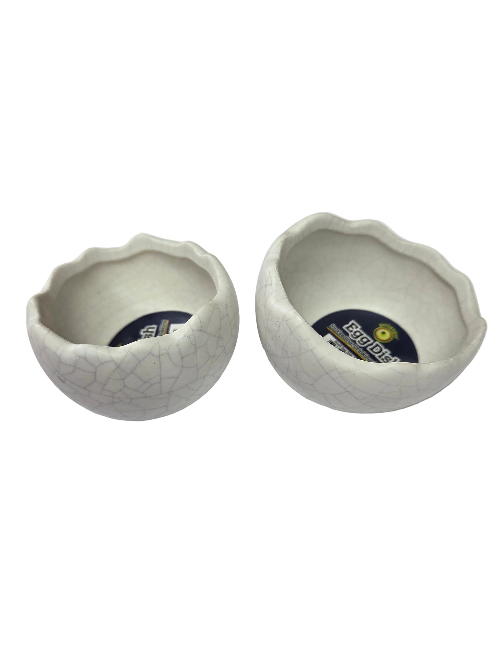Galapagos - Egg Dish - Small 2.75"×3××1.75" (single)