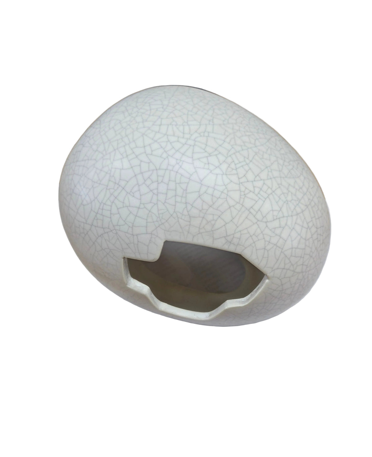 Galapagos - Egg Hide