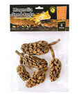 Galapagos - Magnolia Seed Pods 5ct