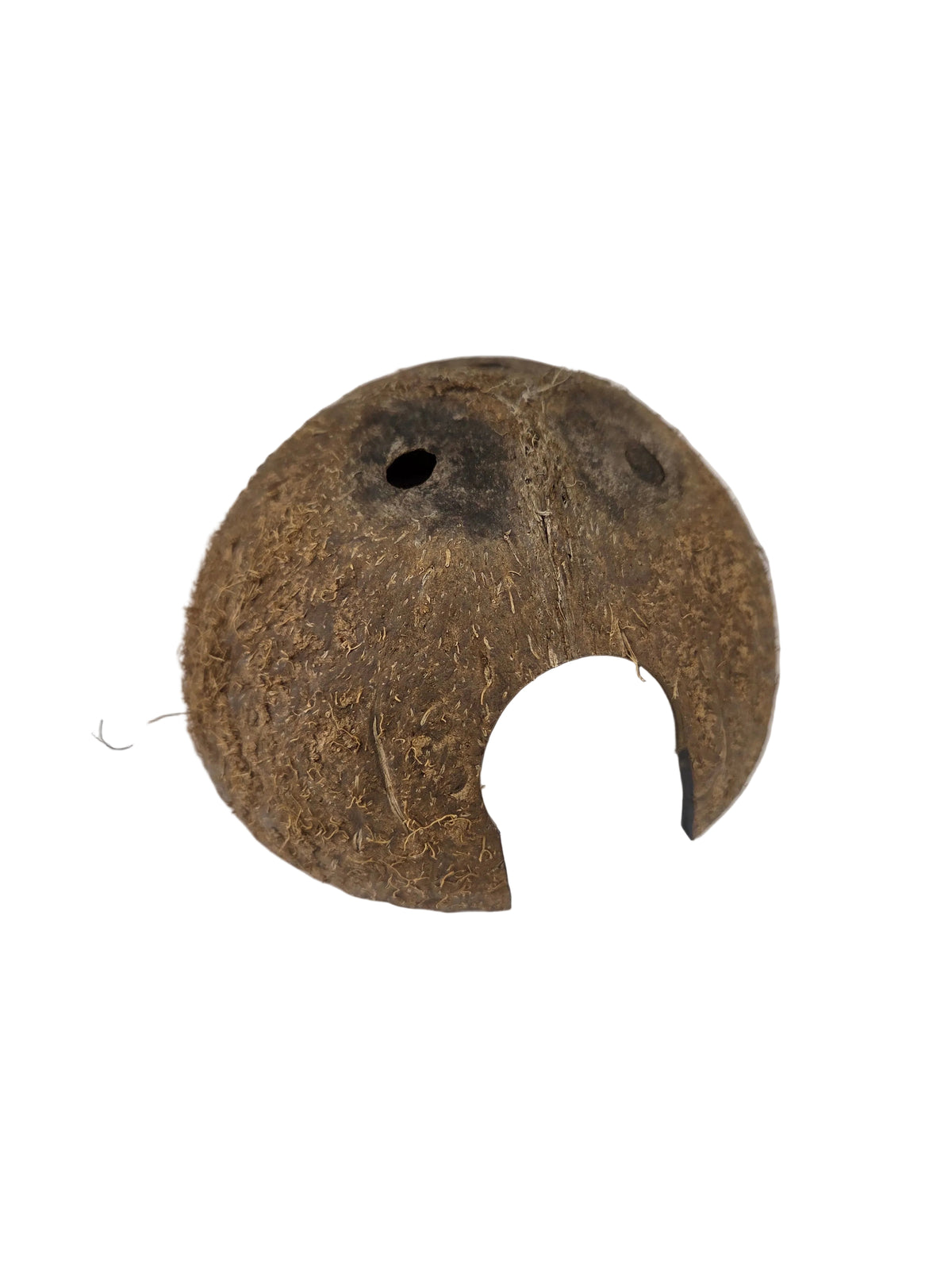 Lugarti - Coconut Hide