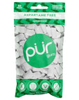 Pur Gum - Xylitol Chewing Gum - Spearmint 77g