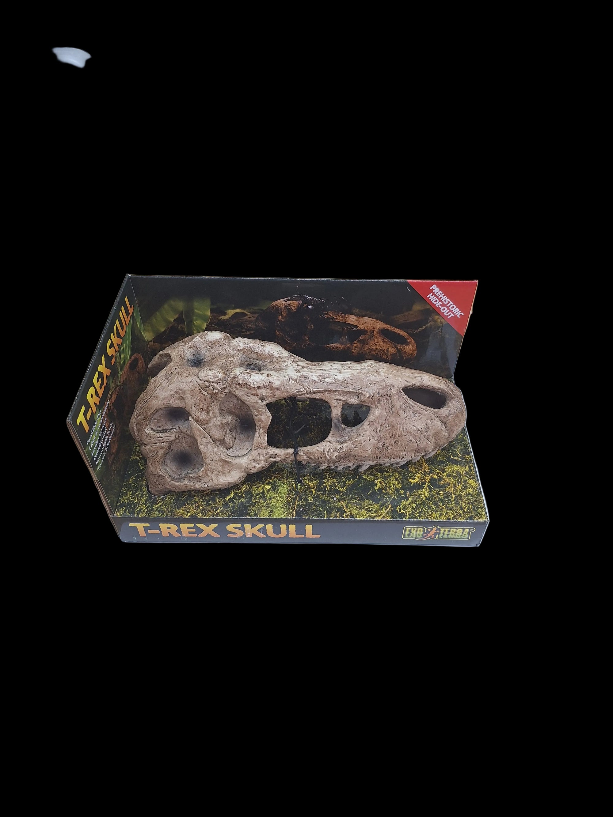 Exo Terra - T-Rex Skull