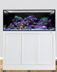 Innovative Marine - INT 150 Lagoon Aquarium w/ APS Stand (Made to Order)