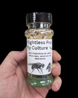 AO - Mini Fruit Fly Culture