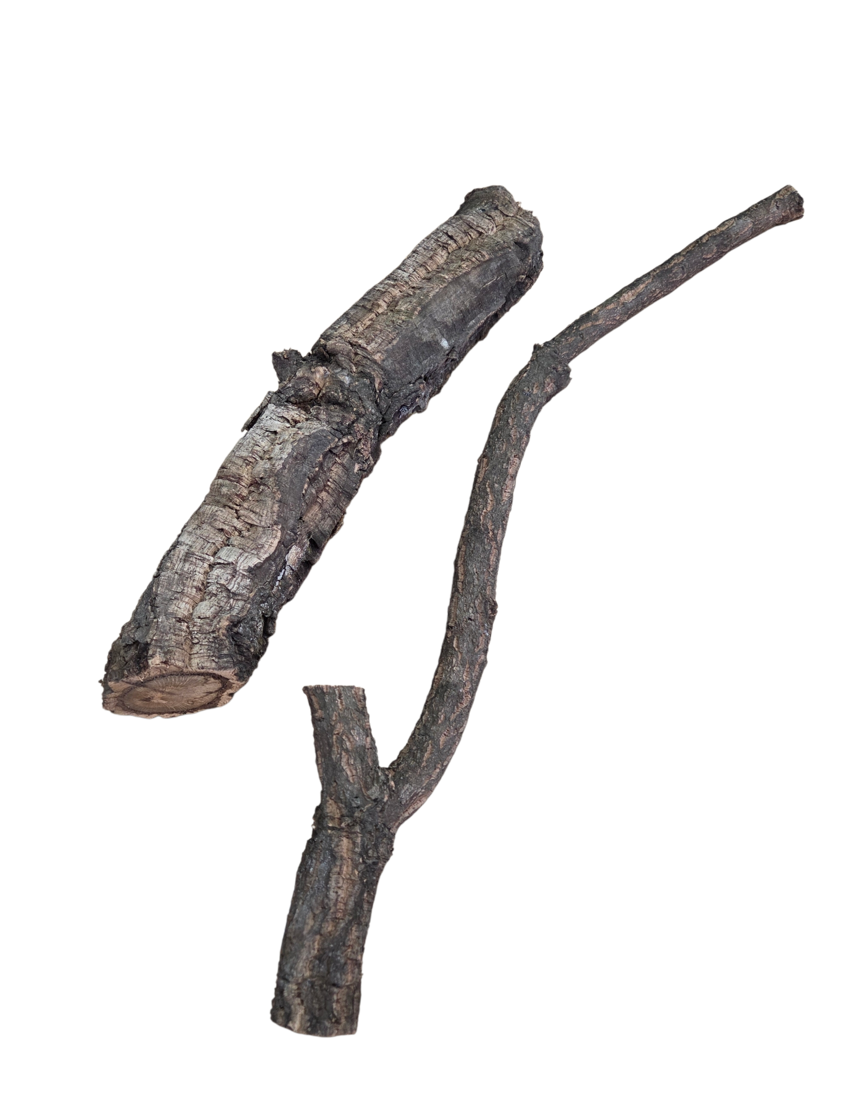 Zoo Med - Cork Branch