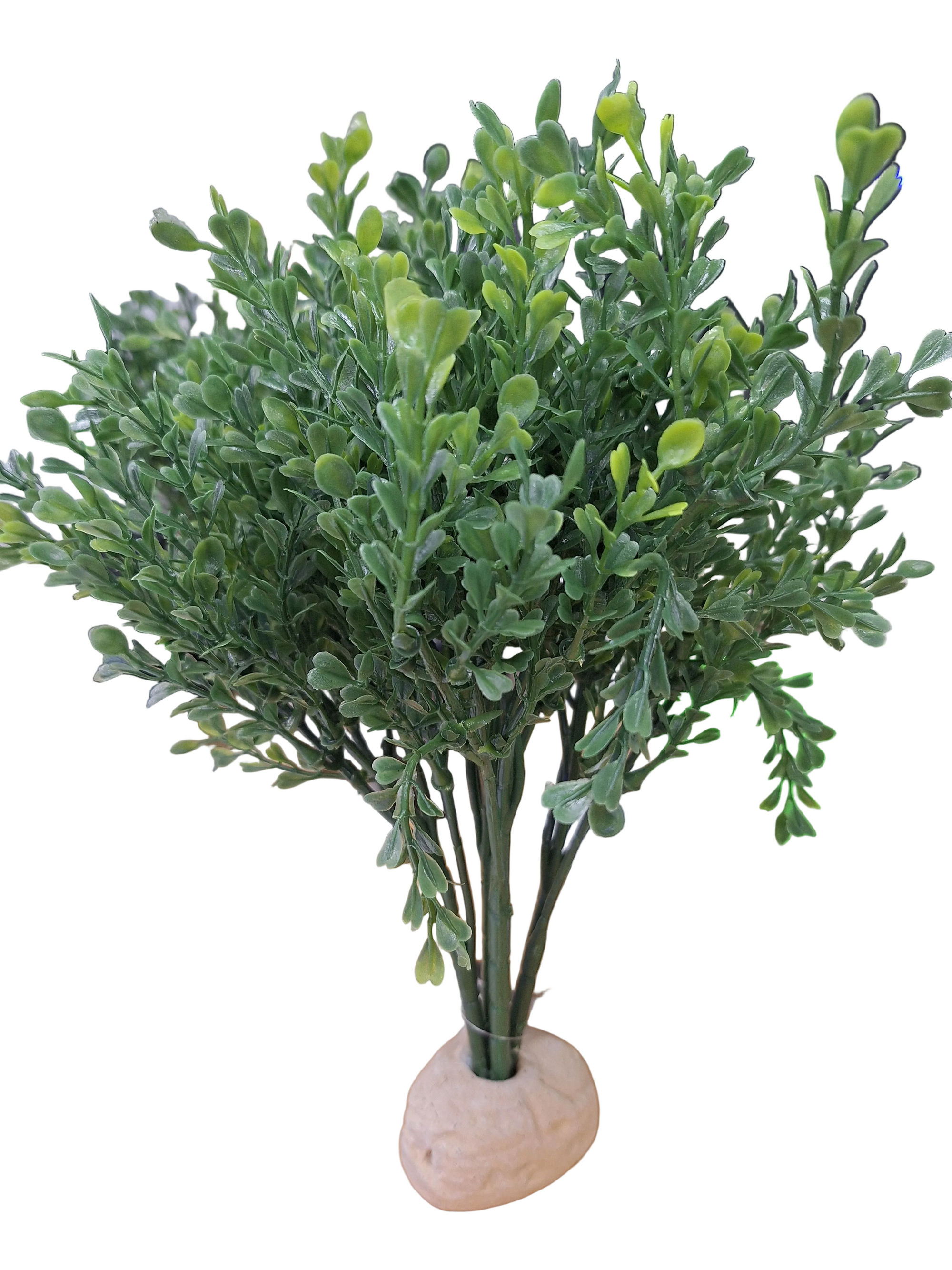 Exo Terra - Boxwood Bush
