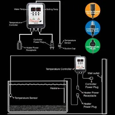 Diagram of an aquarium temperature control system using the Aquatop DDC-800 Digital Controller for Titanium Heaters, showcasing its connection with a sensor, heater, and power receptacles. Components are labeled to indicate their function and display the setup and wiring.