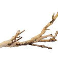 Exo Terra - Forest Branch